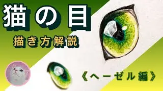 🔰猫の目の描き方《ヘーゼル編》　色鉛筆画　わかりやすい解説　Colored pencil drawing