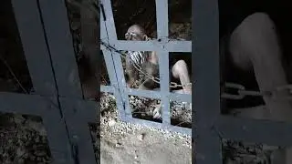#viralvideo #france #music #travel #village #autocaravana #history #nature #grottes #grotte #viral