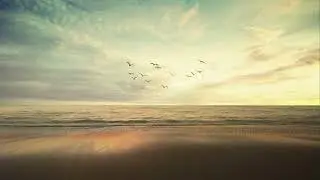 Mind Relaxing Good Energy Mix | Tropical Chill Vibes - Curated by Rhythm Spirits