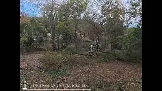 T86 + Fecon Forestry Mulching