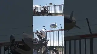 German Blimp on a Royal Enfield motorcycle tour