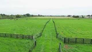 The Art of Equine Fencing