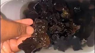 HOW TO COOK BLACK WOOD EAR FUNGUS/ Benefits