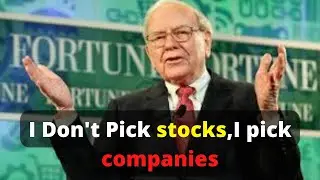 Warren Buffett: I Don&rsquo;t Pick Stocks,I Pick Companies