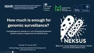 How much is enough for genomic surveillance? Insights from the NEKSUS Study