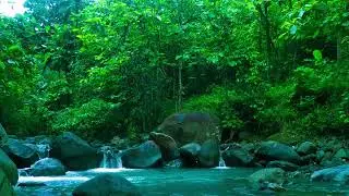 Mountain stream flowing - Forest river stream - Flowing water - white noise for sleeping