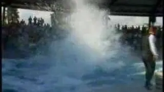 Miami Seaquarium Commercial