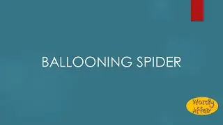 Ballooning spider Meaning