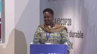 Africa@COP28 : AfDB- Mobilising Private Climate Finance &ndash; The Role of the African Financial Sector