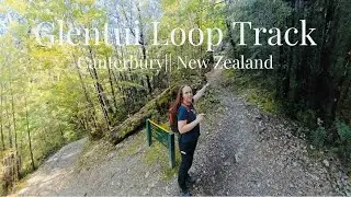 Scenic Hike through New Zealand Bush || Waterfall || Glentui Loop Track