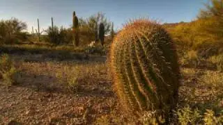 HDR Photography Samples
