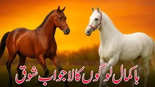 Pakistani Most Beautiful Desi Mare's Competition Islamabad