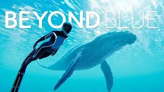 Глубокое погружение | Beyond Blue | Обзор и первое впечатление