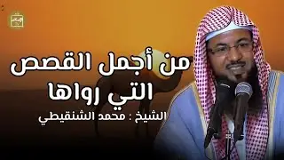 قصة #عجيبة من روائع القصص | قصص رائعة لنوم عميق l الشيخ محمد #الشنقيطي ينير الطريق