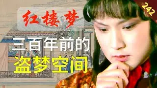 【242】别说盗梦空间烧脑，这本书一点儿也不差！红楼梦56回陆