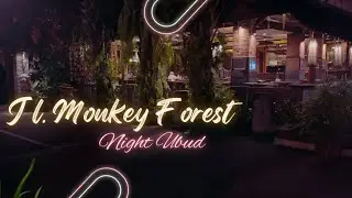 Nightlife Chronicles: Monkey Forest Street, Ubud, Bali