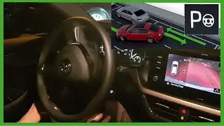 PARK ASSIST Skoda Scala - how it works? Asystent parkowania Skody w praktyce