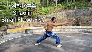 Wushu Shaolin Small Flood Fist 小洪拳