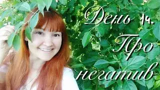 Блогер за 21 день с Романом Миловановым. Вторая жизнь: День 14. Про негатив