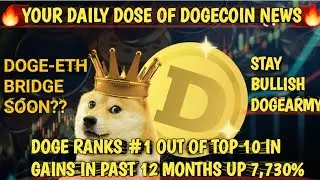 DOGECOIN UPDATE🔥DOGE IS UP 7,730% IN PAST 12 MONTHS🤯😱