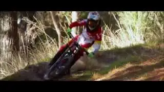 Matt Kelly Young & Free