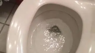 Toilet continues to run non-stop