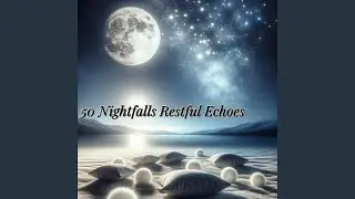 A Night Of Dreams