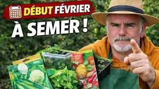 Que semer et que planter début février ? Le vrai rythme du potager