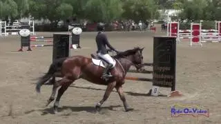 040S Lucy Hinton on Jameson Young Rider Training Show Jumping Copper Meadows June 2017