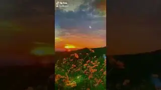 Suryaj de nal tere jad aa pause hai