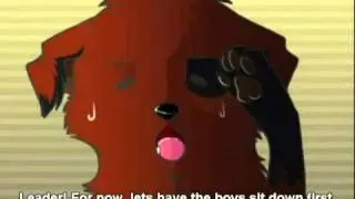 D A N J O