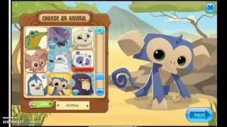 eggs hatching/new pet theory