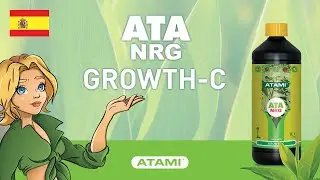 ATA NRG Growth-C | (ES)