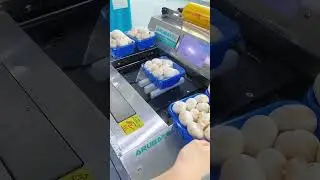 White mushroom plastic wrap packaging machine, edible fungi, mushroom packaging machine