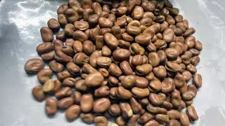 2 ways/methods to cook dry Fava Beans or Ful #food #favabeans #howtocook #mediterranean
