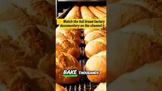This Bread Is NOT Handmade 😱 | Inside Bread Factory #shorts #bread #howitsmade #factoryprocess