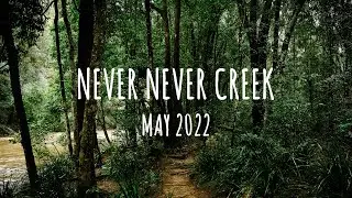 Flooded Never Never Creek - Bellingen