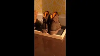 Step into style: create your own boot tray for a warm welcome and minimum mess this holiday season.