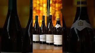Bar &agrave; vin Gen&egrave;ve : OAK GENEVA WINE & GRILL +41 22 736 88 86