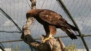 Copyright Photo Hichem Azafzaf Vidéo Watan 01