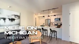 Millie on Michigan | 1 Bed/1 Bath (C03) - Chicago Luxury Apartments for Rent in The Loop