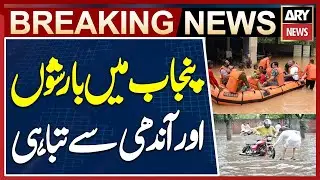 Punjab Rain Disaster - Moon Soon Rain 2025