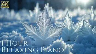 Echoes of Winter | 1 Hour Cinematic Nature & Ambient Music
