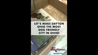 Let's make Dayton, Ohio the most dog-friendly city in Ohio!