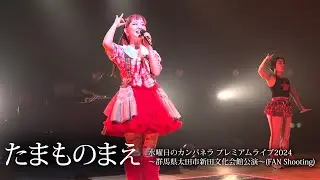 【たまものまえ】水曜日のカンパネラ プレミアムライブ2024(FAN Shooting)