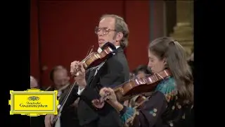 Kremer, Kashkashian & Harnoncourt - Mozart: Sinfonia Concertante in E Flat, K. 364: II. Andante
