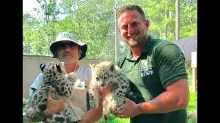 Animal Adventures with Jordan: Snow Leopard