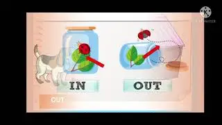 Concept In & Out
