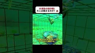 冷凍魚の餌作戦！ カニは捕まるのか？  #カニ漁 #海底映像 #巨大カゴ #驚きの罠 #海鮮捕獲