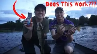 Walleye Fishing Challenge: BAITMATE Live Scent vs NO Scent